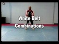 White Belt Combination