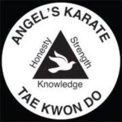 Angel's Karate Taekwondo Martial Arts Center Midland, MI